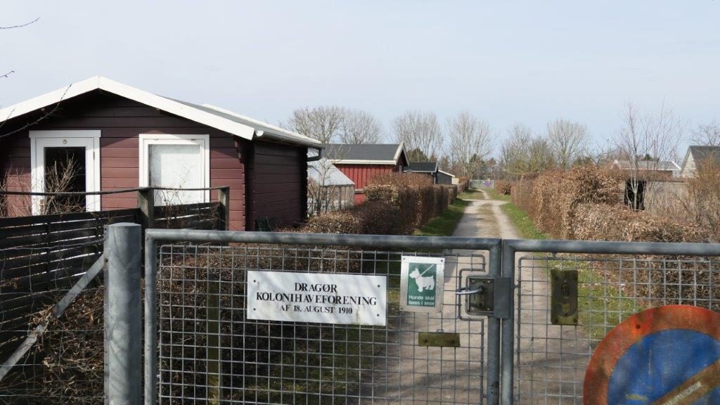 En haveforening i Dragør - Dines Bogø