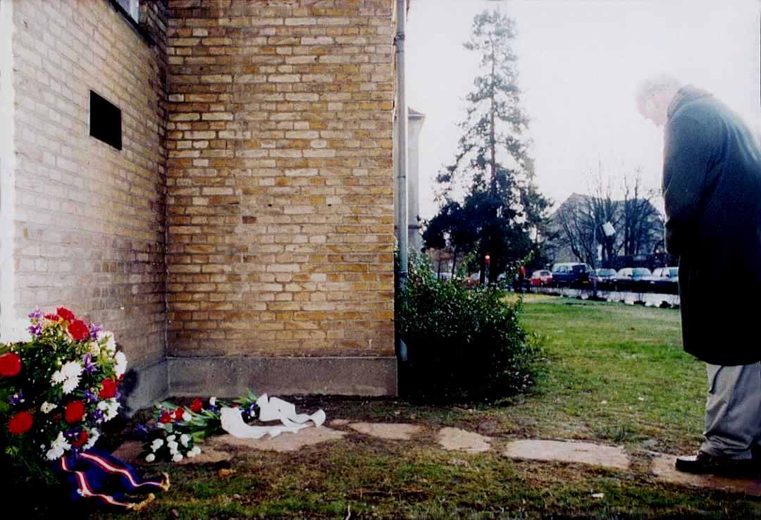dines bogø