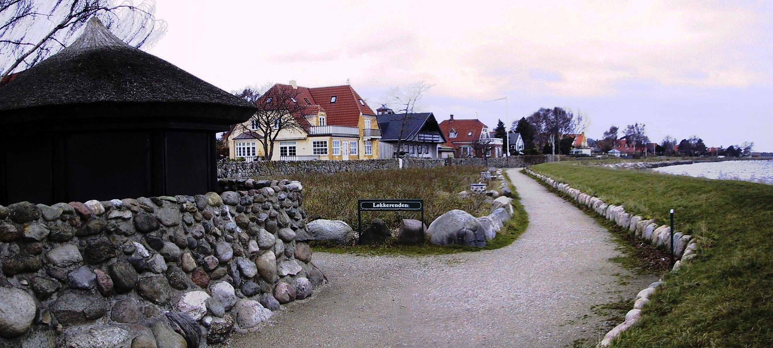 Dines Bogø