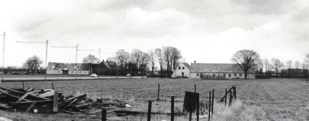Dines Bogø