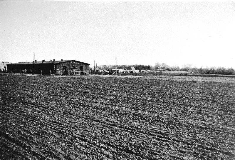 Dines Bogø