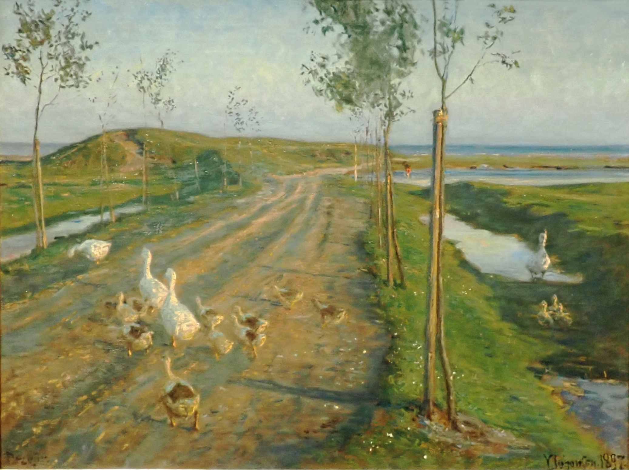 Dines Bogø