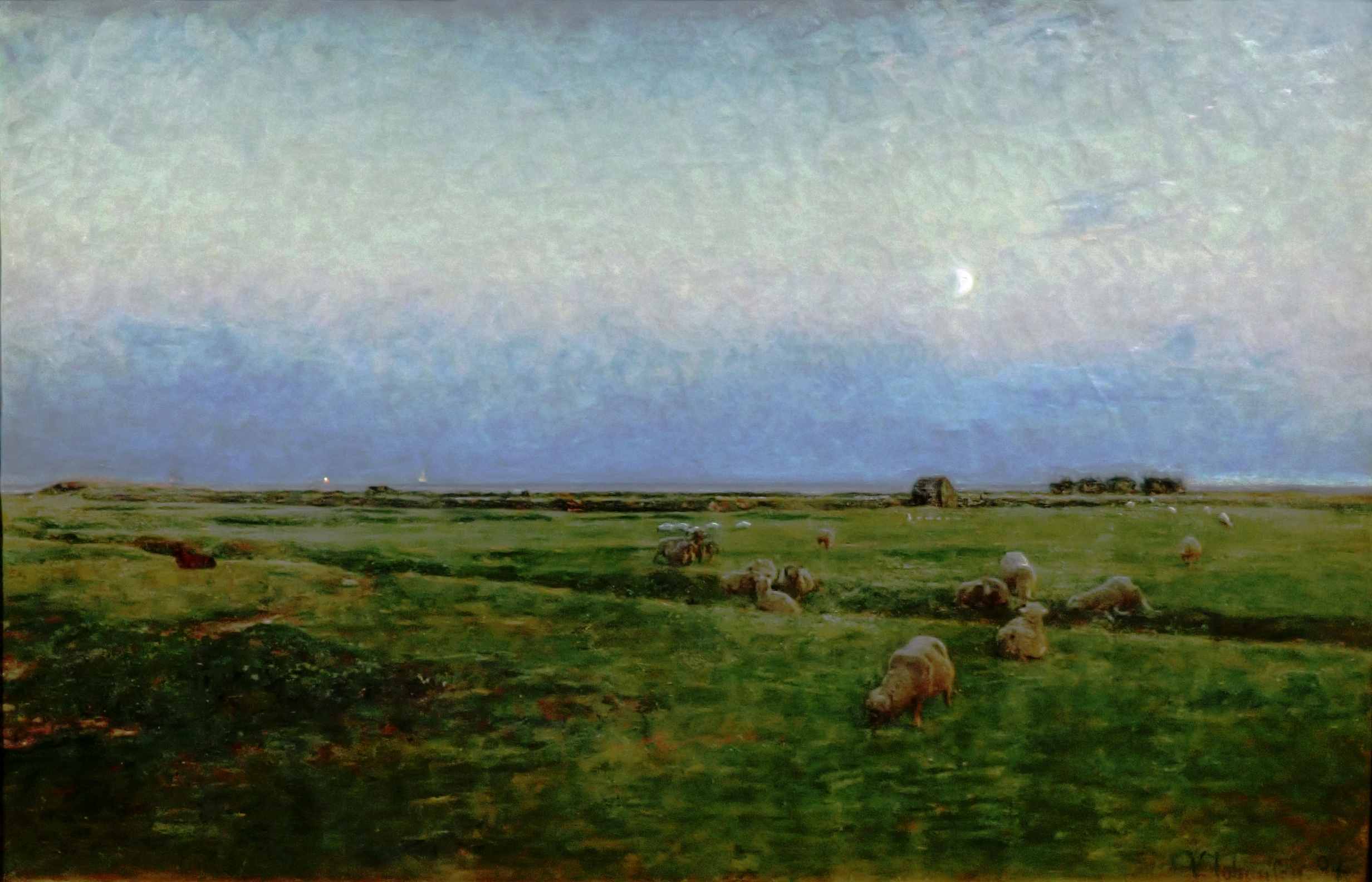 Dines Bogø