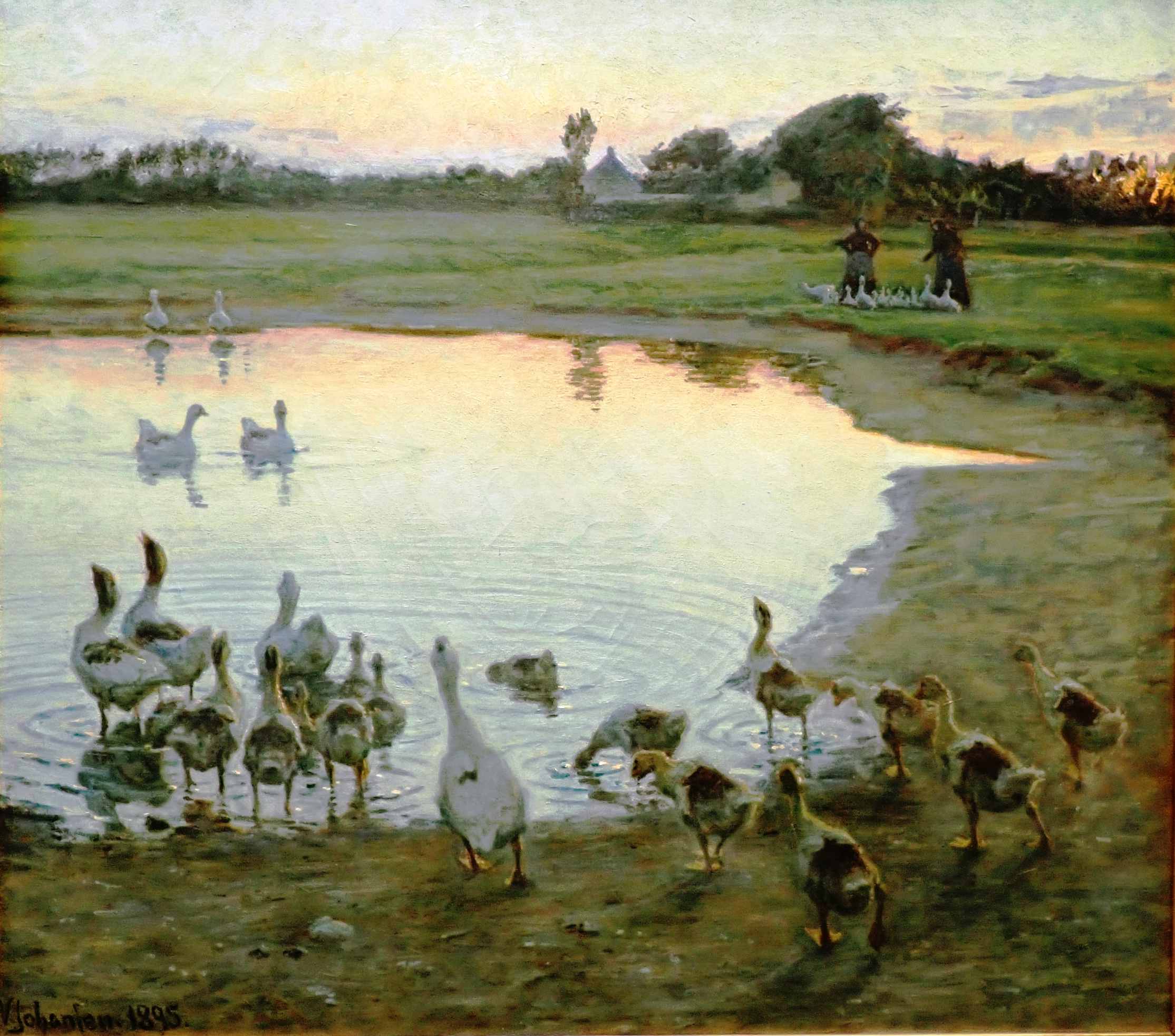Dines Bogø