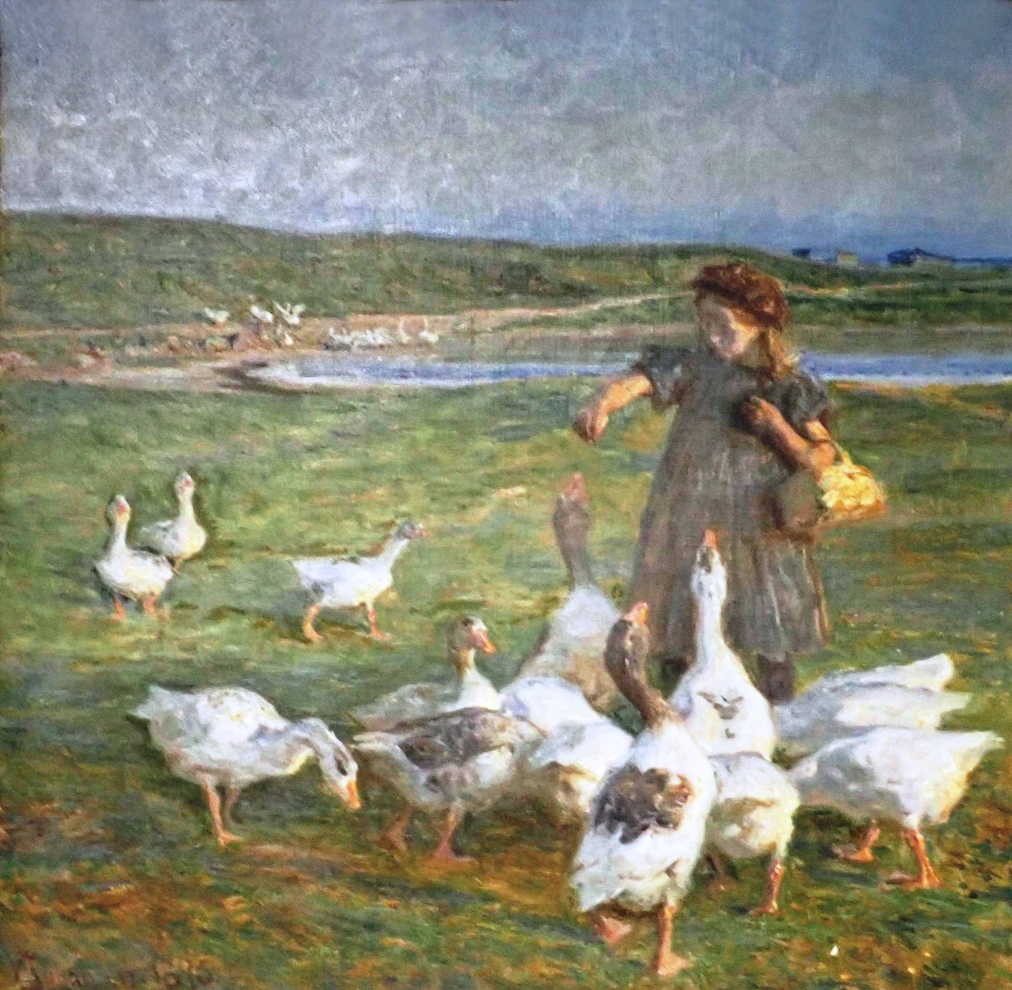 Dines Bogø