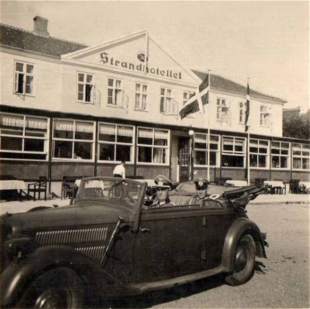 Dines Bog�