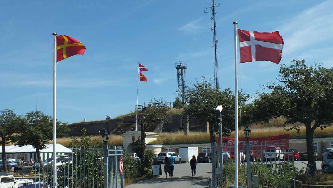 Sknsk Flagdag - Dines Bog