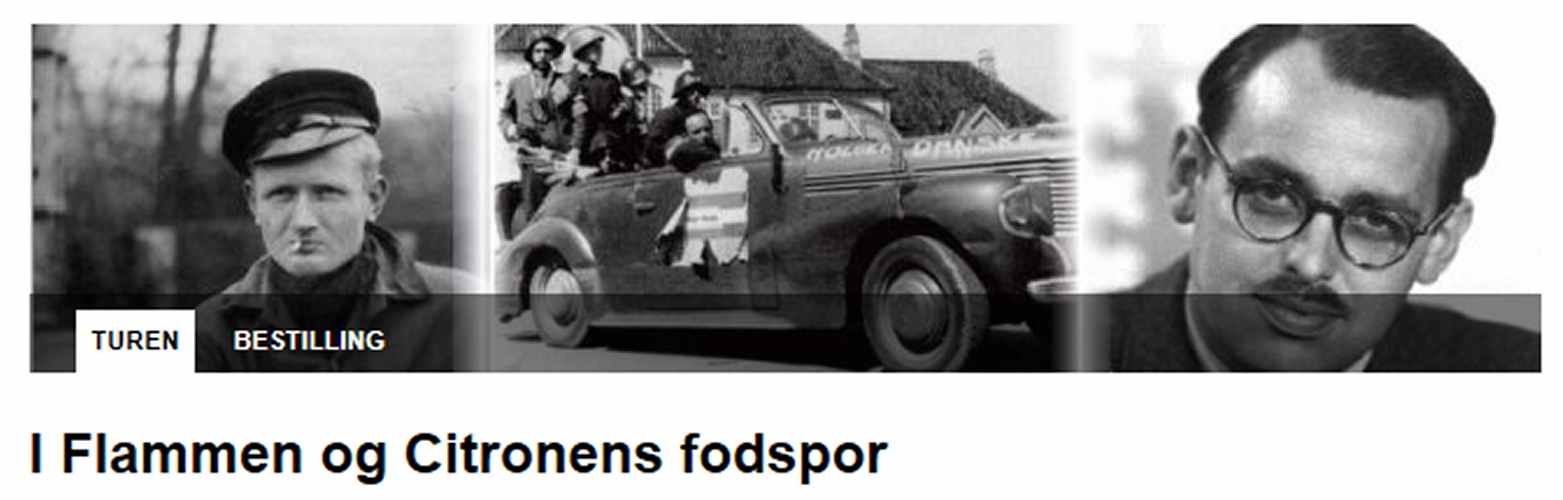 Dines Bog�