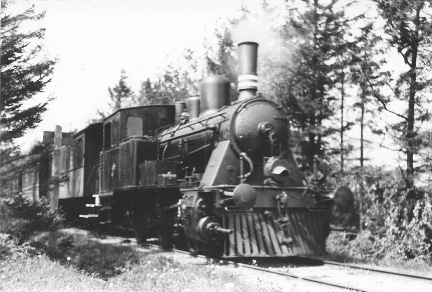 Dines Bogø