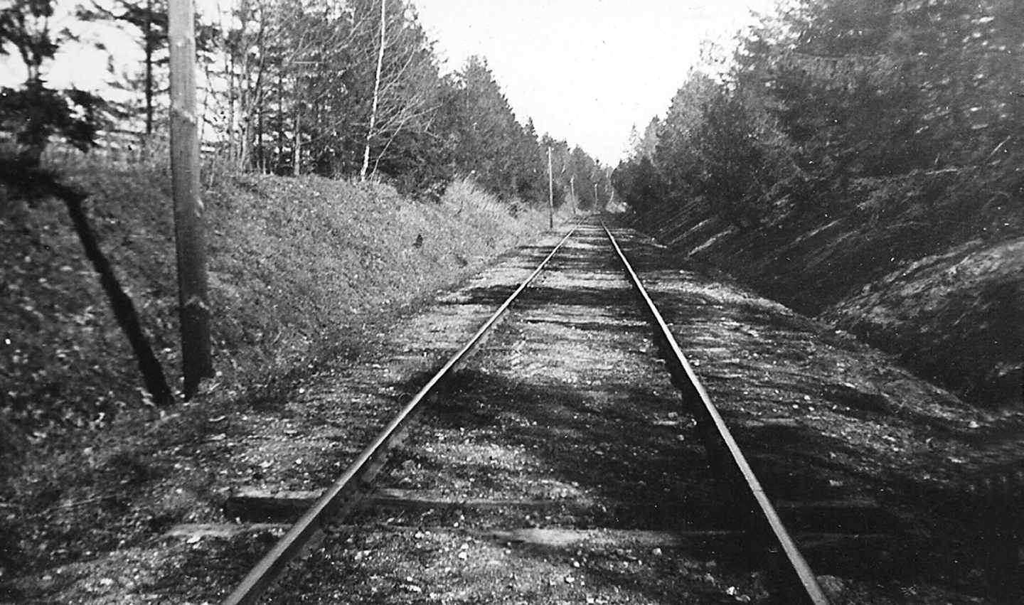Dines Bogø