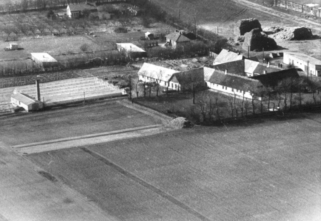 Har der været en "Grisefarm" i Dragør? Del 2:2 - Dines Bogø