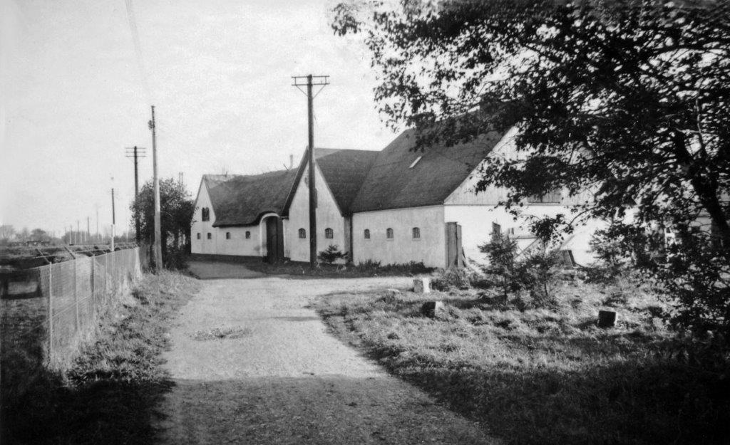 Har der været en "Grisefarm" i Dragør? Del 2:2 - Dines Bogø